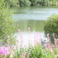 Clifton Park, Salford